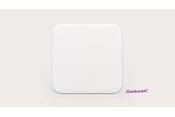 Mepilex XT dressing front view